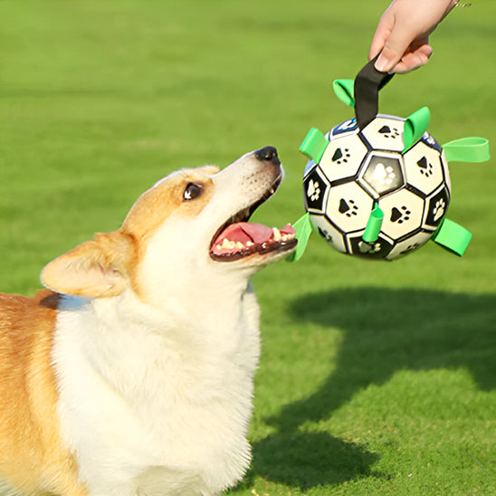 Jouet de Football