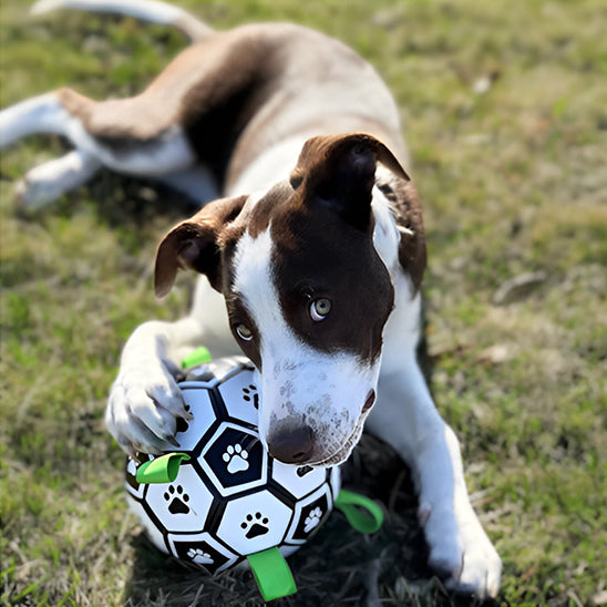 Jouet de Football