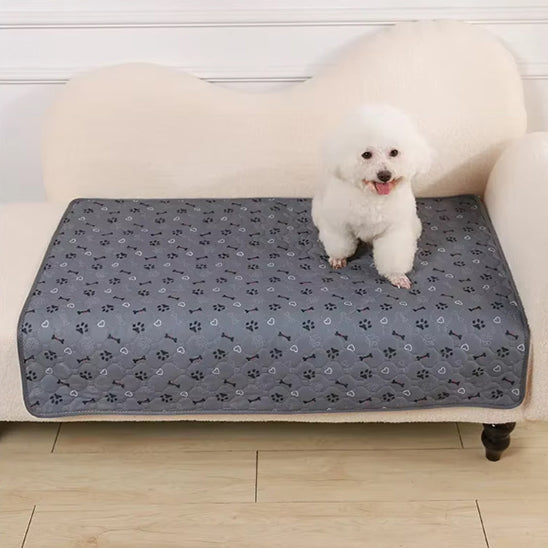Tapis pour chien