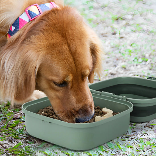 Gamelle Portative pour Chien