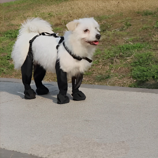 Bottes de Protection