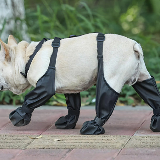 Bottes de Protection