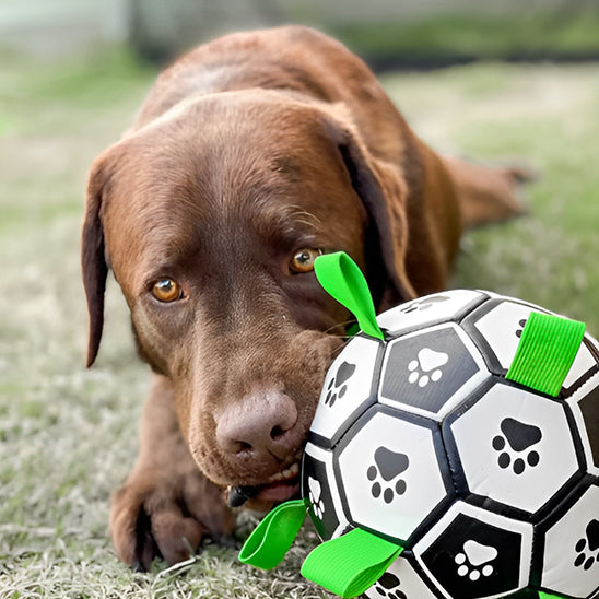 Jouet de Football