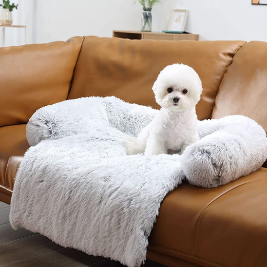 housse de canapé pour chien